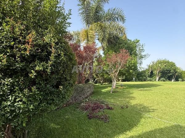 Vente Terrain Souihla