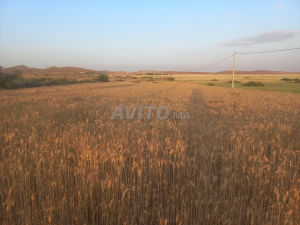 Terrain agricole enregistré à vendre à côté de la Route Nationale N°9