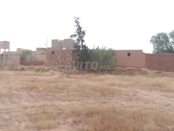 Terreno agrícola con casa
