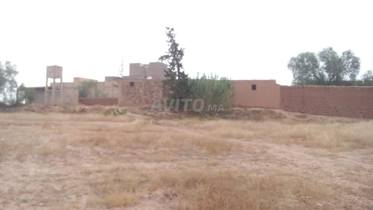 Terreno agrícola con casa