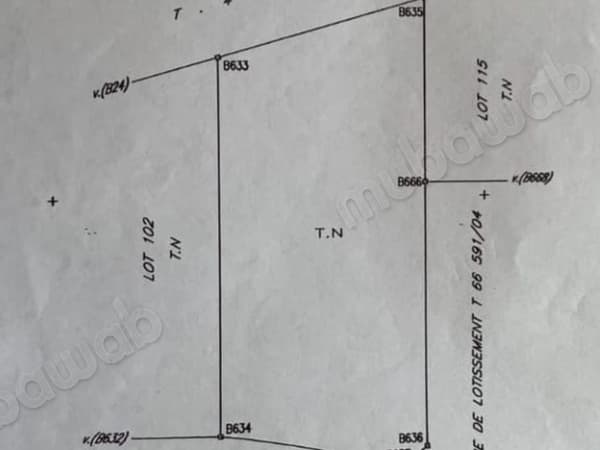 Zeldzame kans in Amelkis 2 – Marrakech