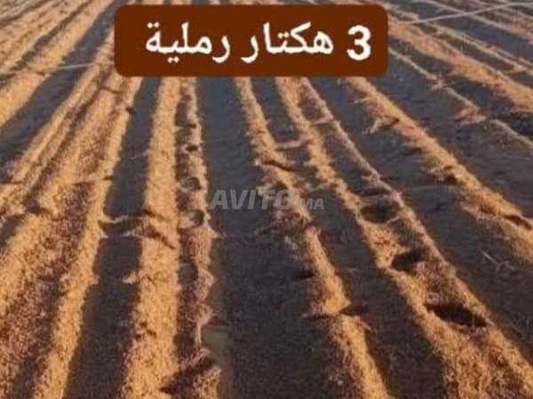 Moulay Bousselham