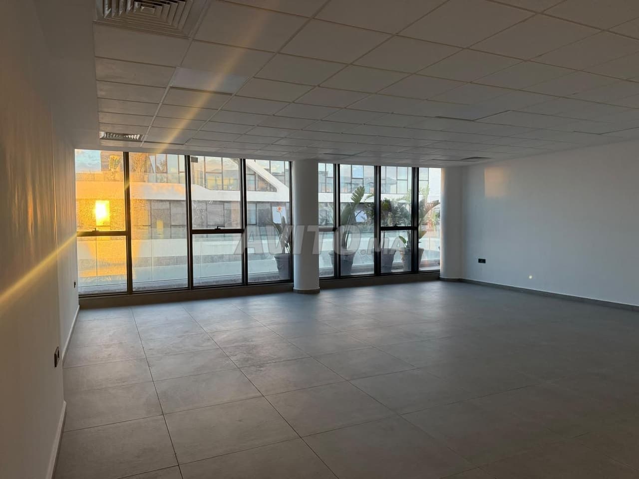 Plateau de Bureau Neuf à Louer – Les Orchidées VI