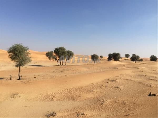 Landbouwgrond met titel van 506 hectare in Guelmim
