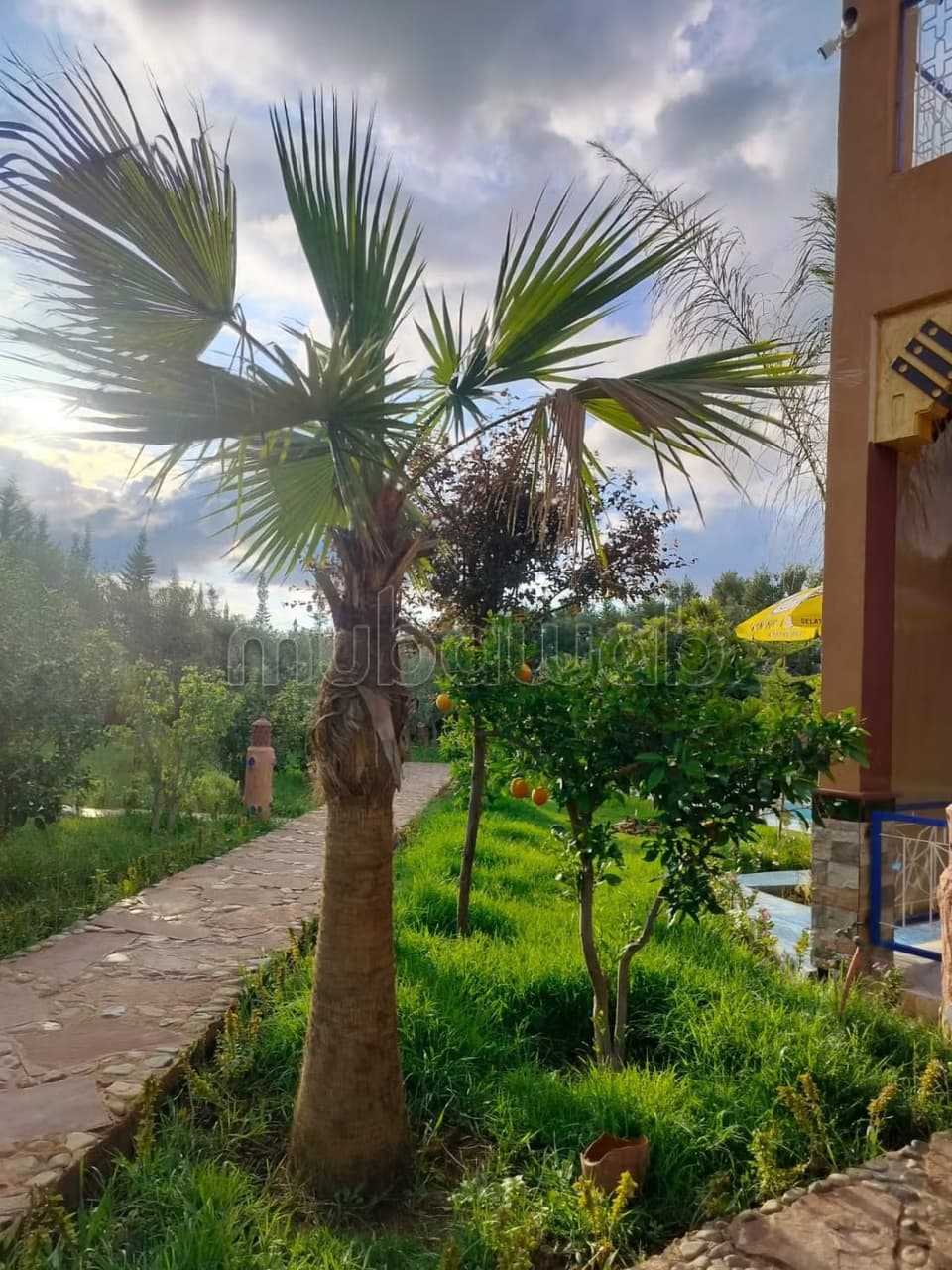 Villa de 1050 m² situada en el km 30 de la Route de l'Ourika