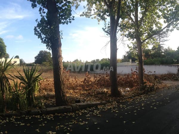 À VENDRE Terrain de 1100 m² à Hay Riad