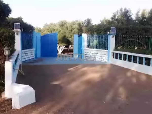 Modern farm in Ouled Said