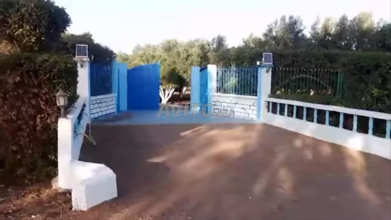 Modern farm in Ouled Said