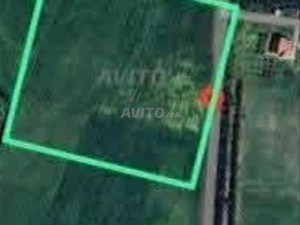 Terreno industriale di 16000 m² in zona industriale a Settat