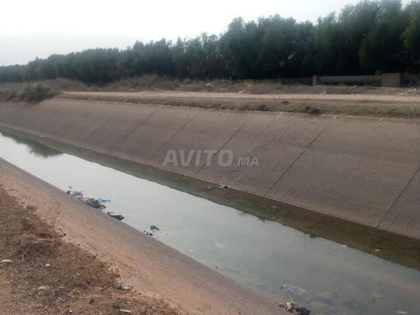 Terreno agrícola con título de propiedad de dos hectáreas y media cerca de la ciudad