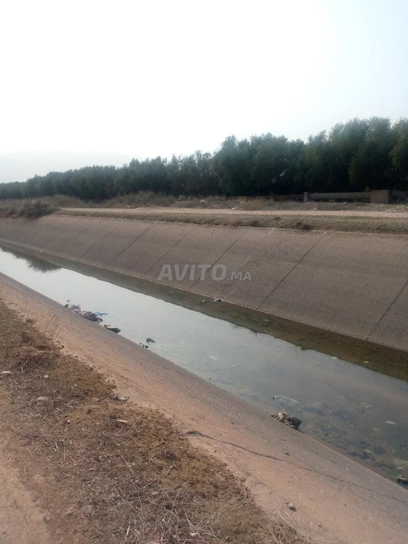 Terreno agrícola con título de propiedad de dos hectáreas y media cerca de la ciudad