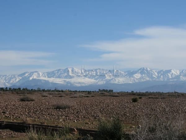 1 ha te koop in Marrakech