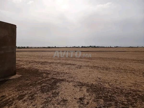 Registered agricultural land, 3 hectares land title, with well