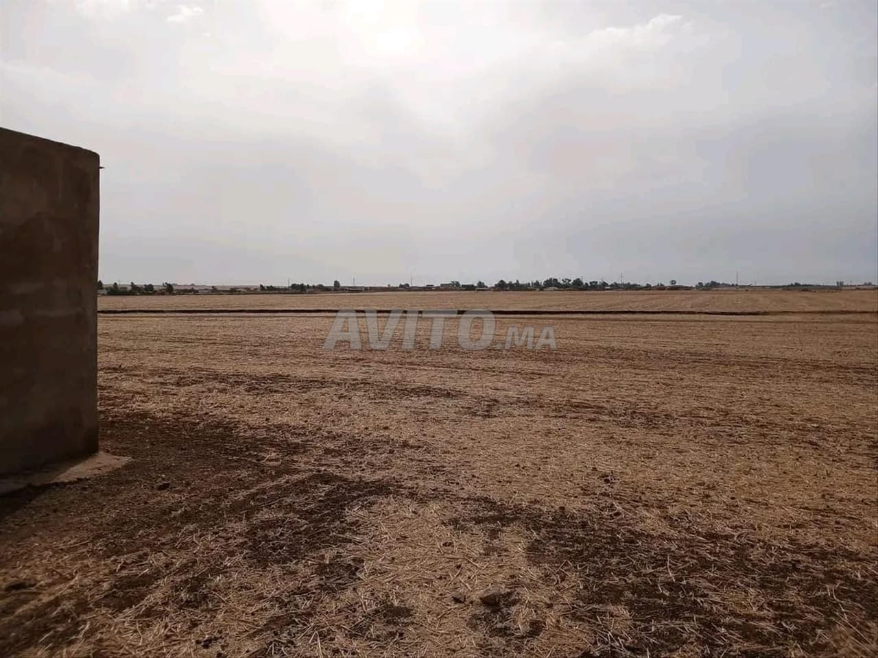 Registered agricultural land, 3 hectares land title, with well