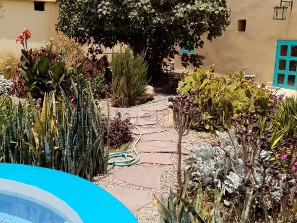 Riad Beldi dans La Nature
