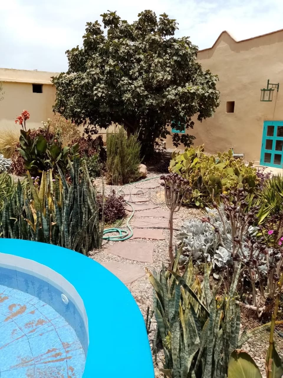 Riad Beldi dans La Nature