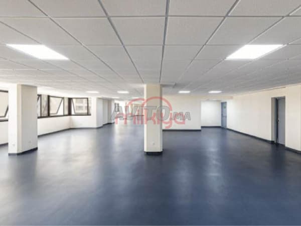 Office for Rent in Casablanca