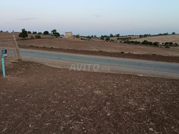 Terrain agricole à vendre dans les environs de Khémisset