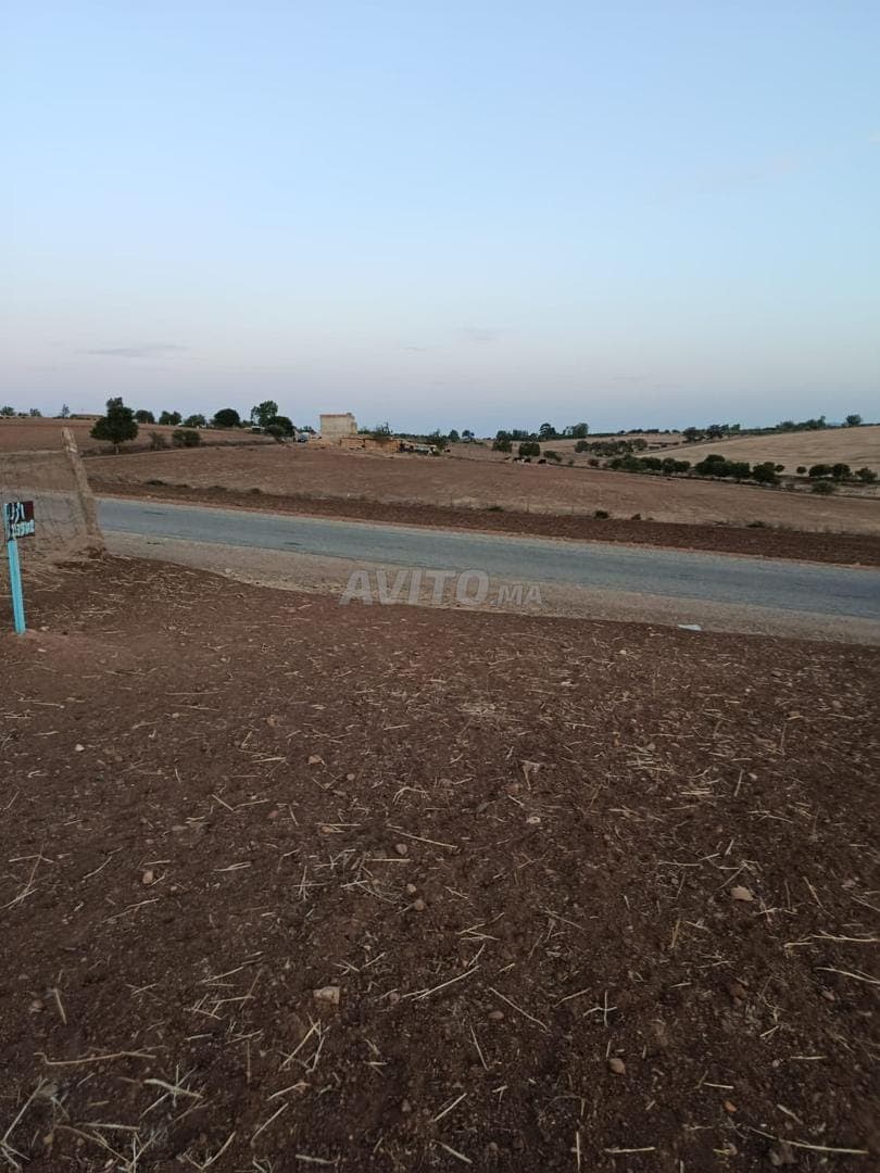 Terrain agricole à vendre dans les environs de Khémisset