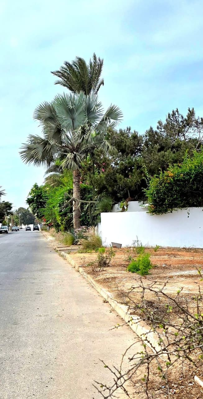 Terrain pour villa 1174 m² à vendre à Casablanca Ain Diab