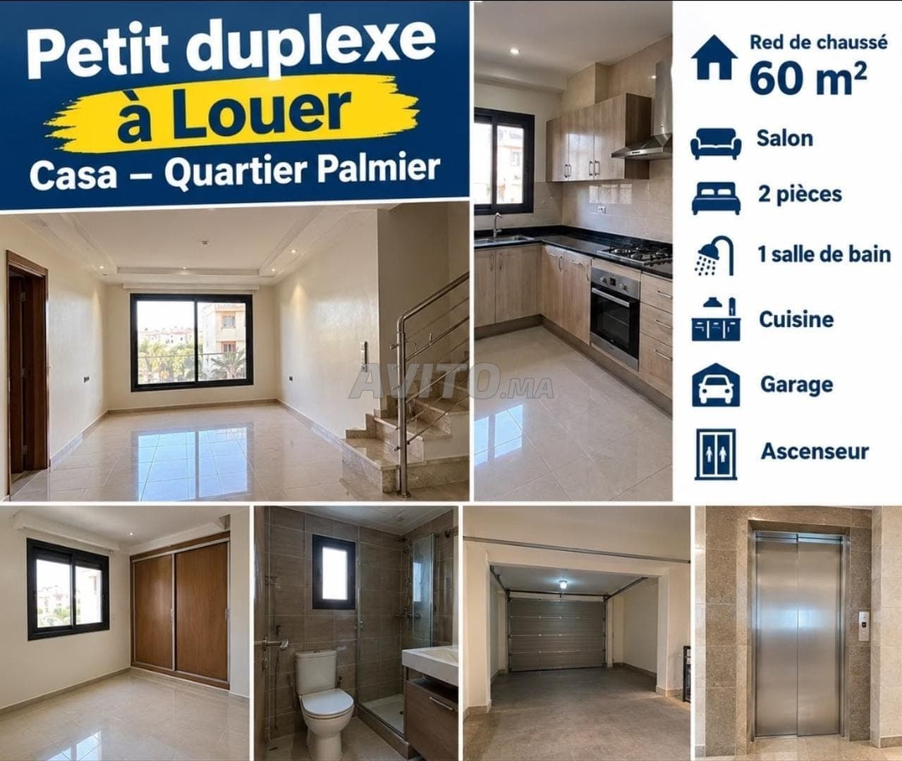 Studio en location Palmier