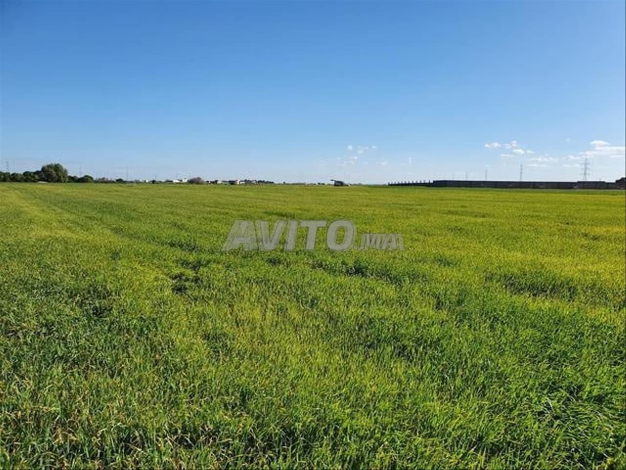 Landbouwgrond 5 hectare