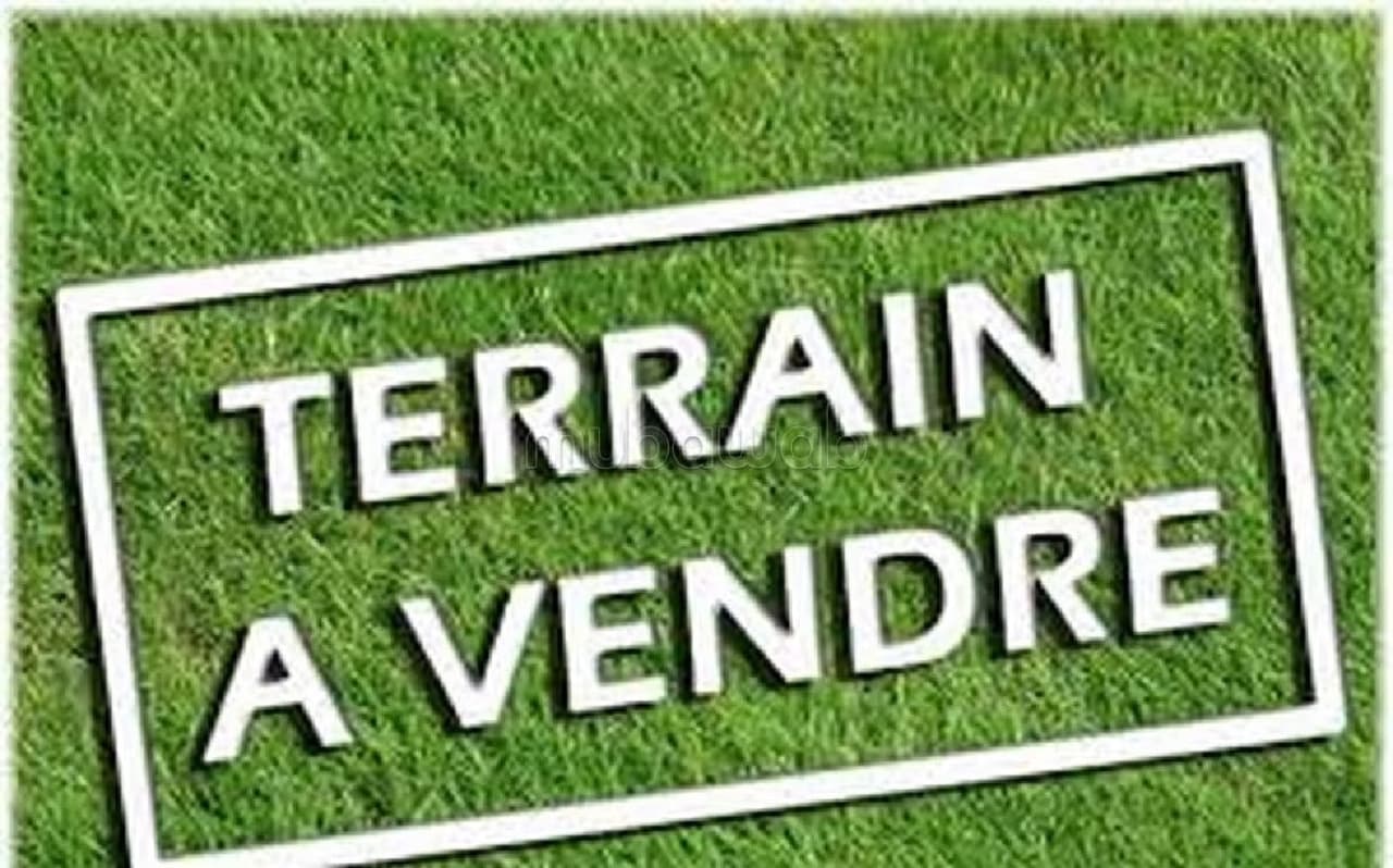 Terrain de 2350 m2 à Californie