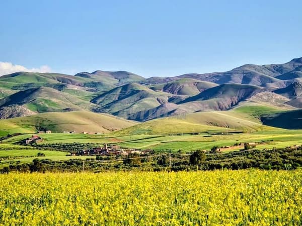 Propriétaire direct 2,18 hectares titrés