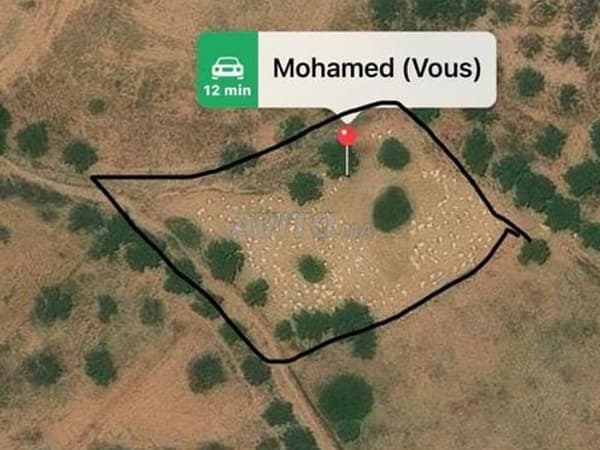 Terrain titré pour construire une maison familiale
