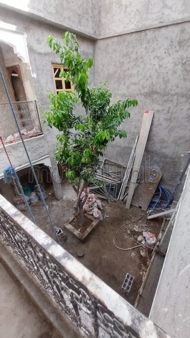 Riad de luxe meuble 590 000 euros 5 suites