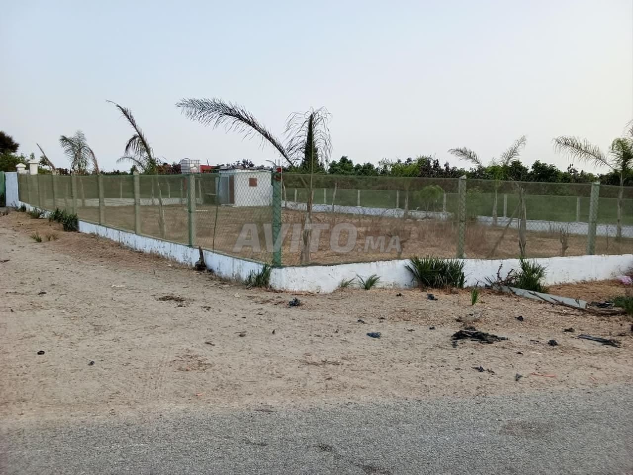 Terrain agricole 500 m², 15 min de Rabat