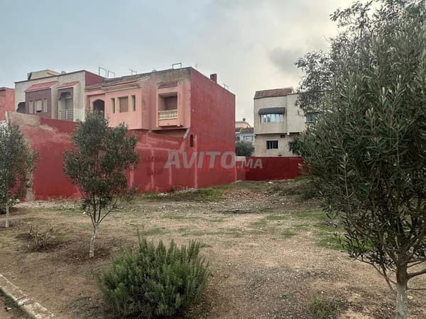 Bare Land for Sale in Berrechid