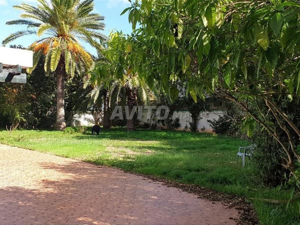Villa OCP sur 980m de terrain arboré