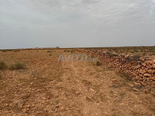 Terreno agricolo