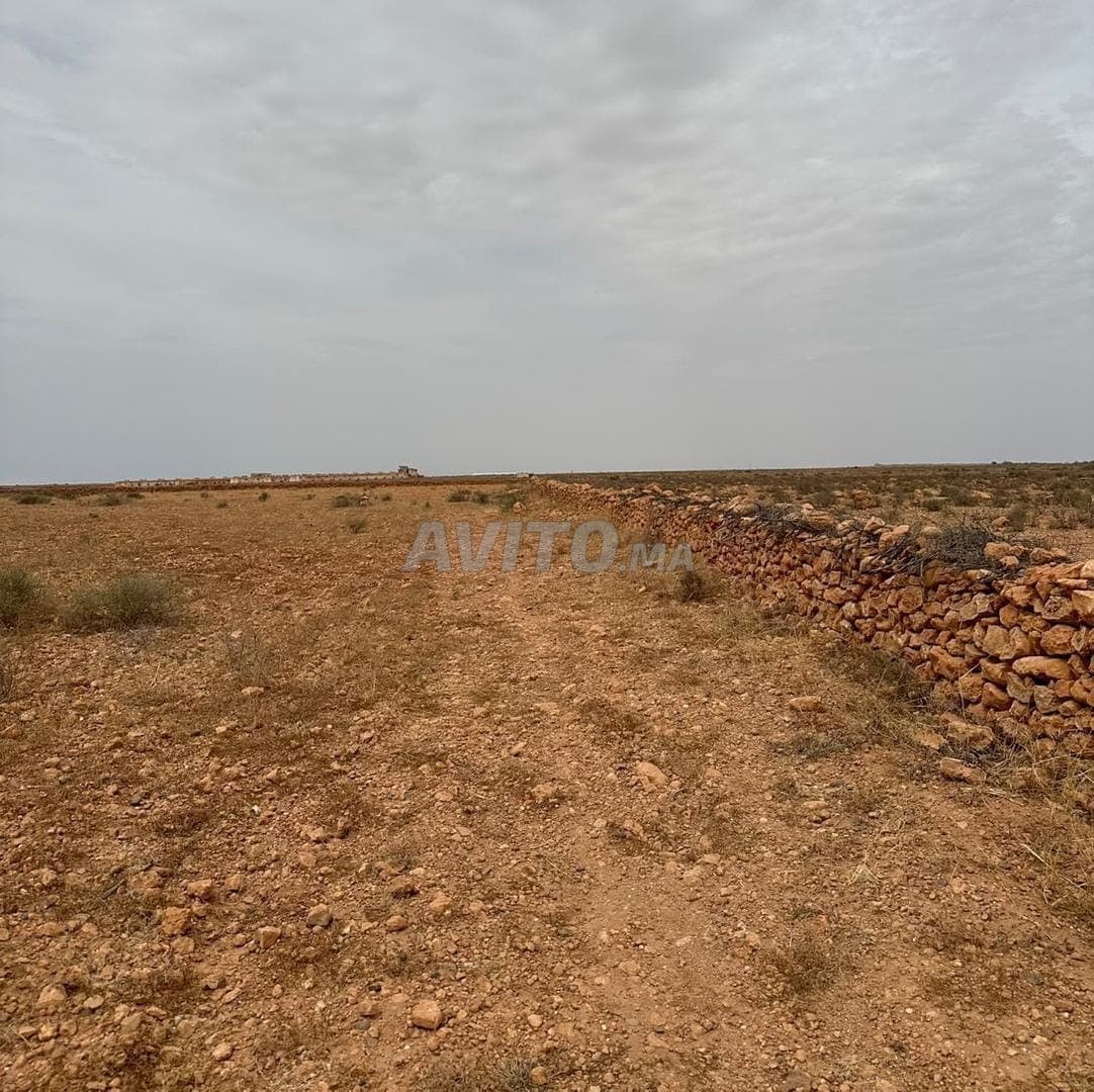 Terreno agricolo