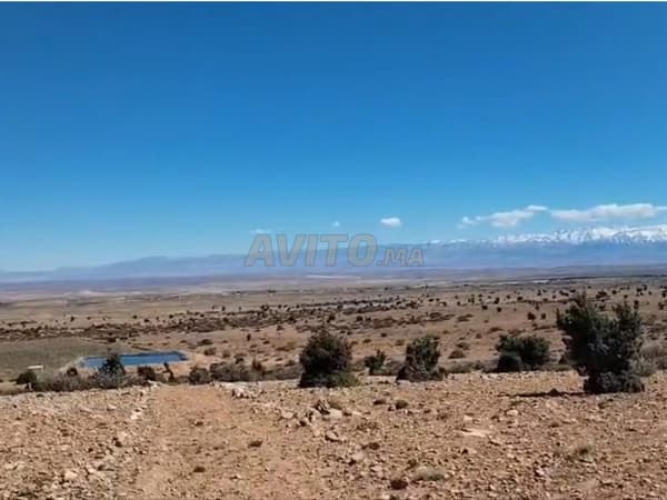 288883 42 – Terrain à vendre à Midelt