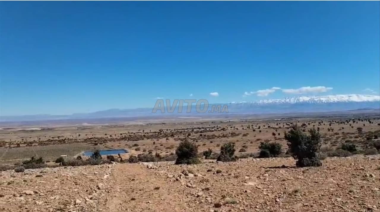 288883 42 – Terrain à vendre à Midelt