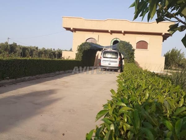 1 hectare farm with equipped well in OUJDA