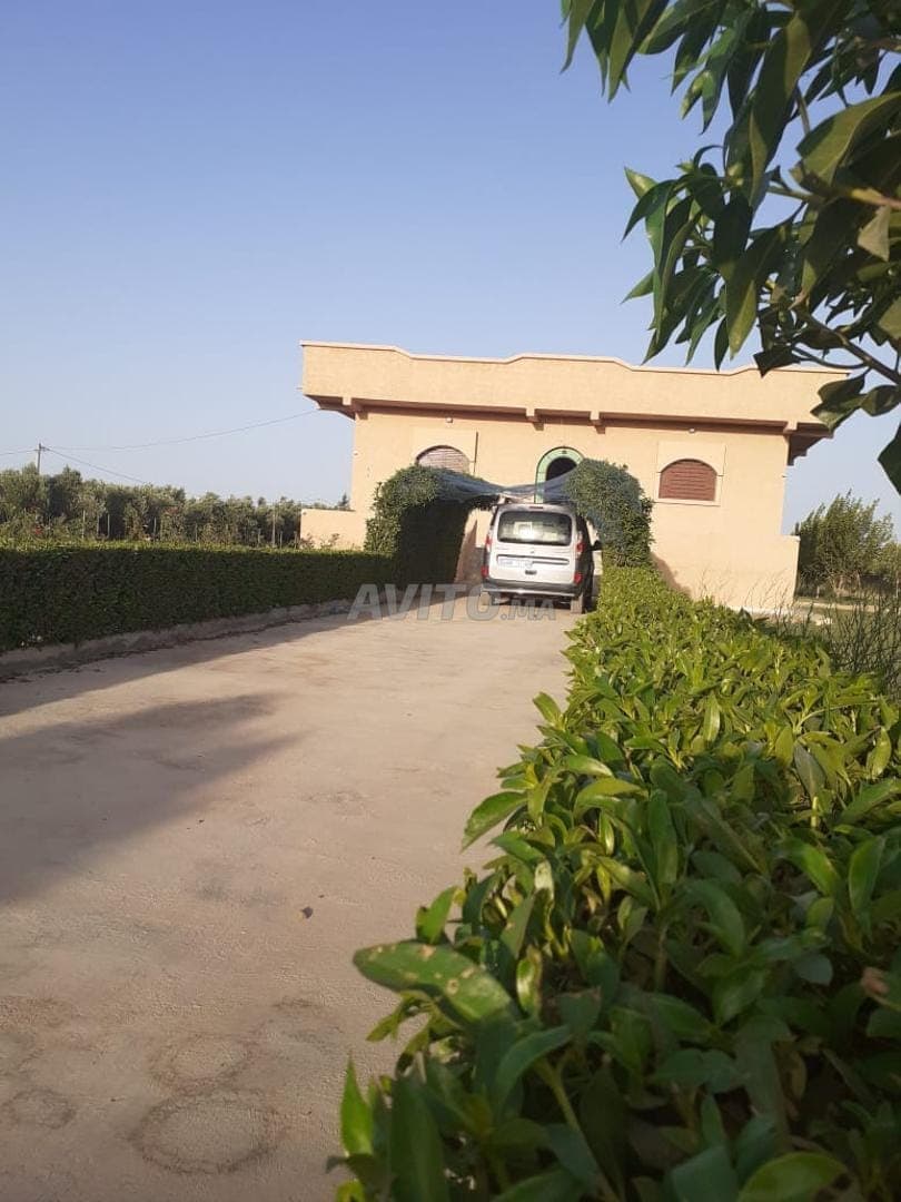 Finca de 1 hectárea equipada con pozo en OUJDA