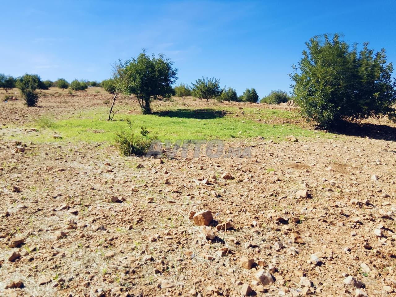 Bonito terreno en venta con VISTA INCREÍBLE