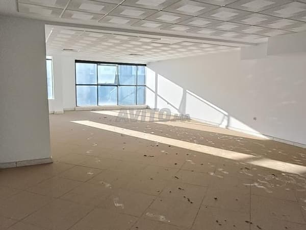 Office floor for rent