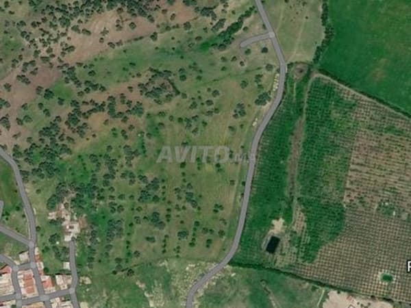 Landbouwgrond op 800 m van de wijk Nahda Bouzen