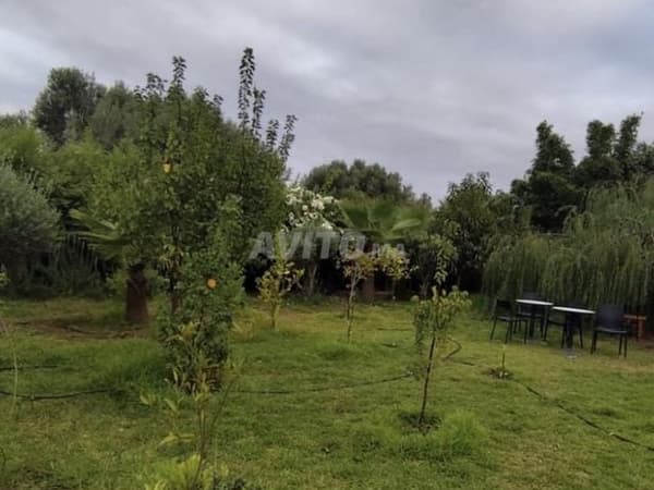 Ferme prête à habiter à Fès Ouled Tayeb