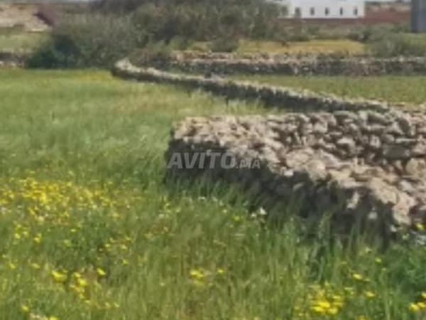 🔥 أرض محفظة للبيع ببوذيز – آسفي | على بُعد 600 متر فقط