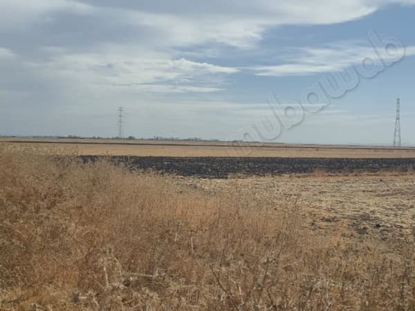 Terrain agricole titré 47 hectare Benslimane