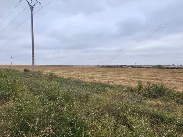 Terrain industriel zone i2s1 – 9000 m2