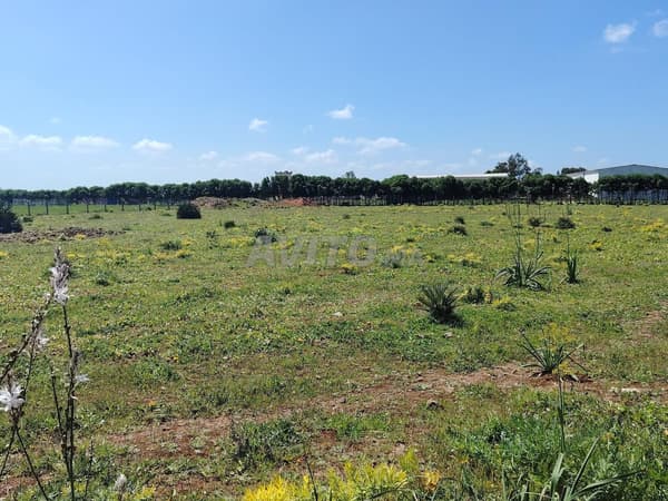 Terrain 1 Ha titré – Forme Carrée & Vue Forêt –