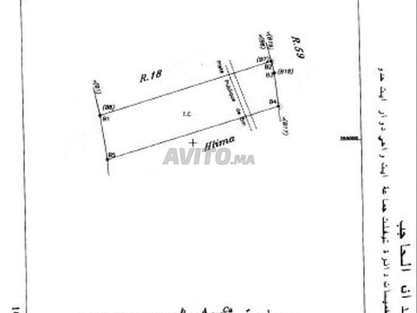 Terrain agricole 7 Khadama Titer