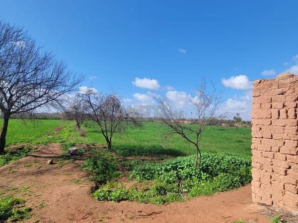 Terrain d'un hectare melkia en vente Rte de Fès