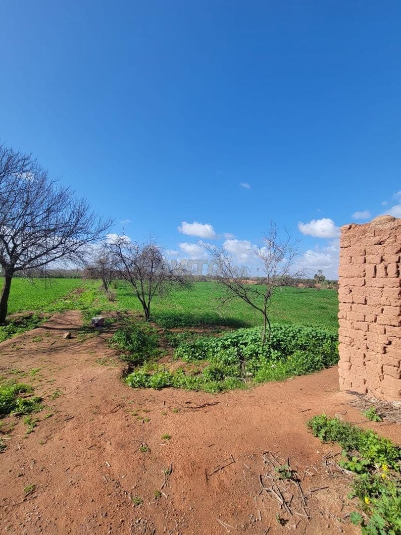 Terrain d'un hectare melkia en vente Rte de Fès